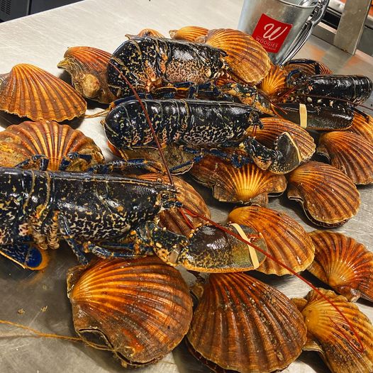 WOOGIES STEAK BURGERS SEAFOOD · Photos 6
